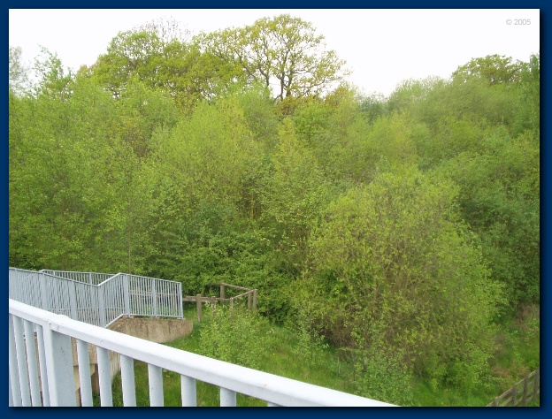 600x449 pixels (157K)